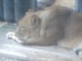 IMGP1241.JPG